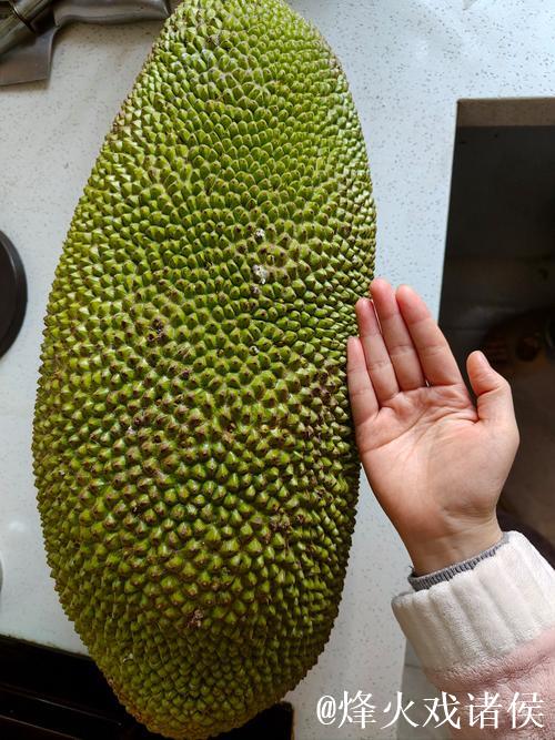 菠萝蜜视频污 菠萝蜜视频污