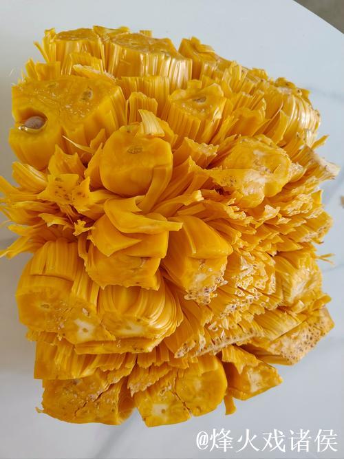 菠萝蜜视频污 菠萝蜜视频污