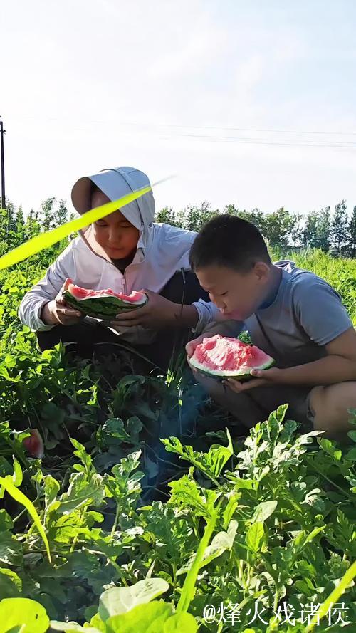 吃瓜网在线吃瓜:全程围观瓜田趣事 吃瓜网在线吃瓜:全程围观瓜田趣事